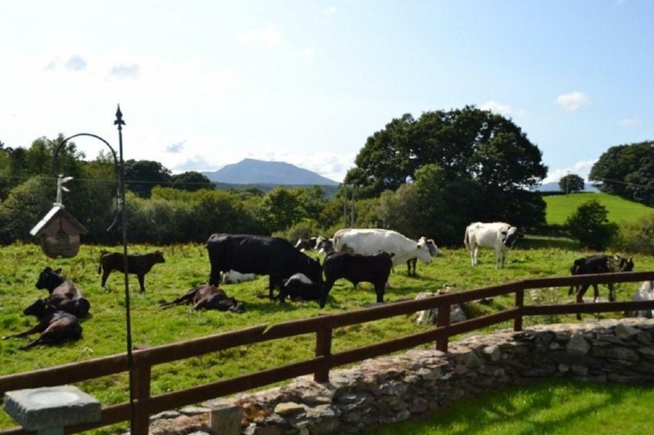 Old Coach House, Betws Y Coed, Snowdonia Villa Buitenkant foto